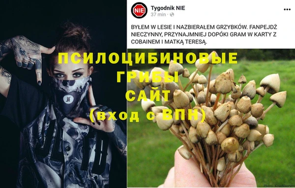 стаф Балахна