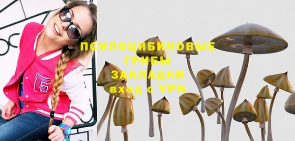 стаф Балахна