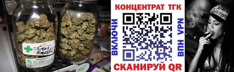 Купить закладки  Новозыбков  ТГК THC oil 